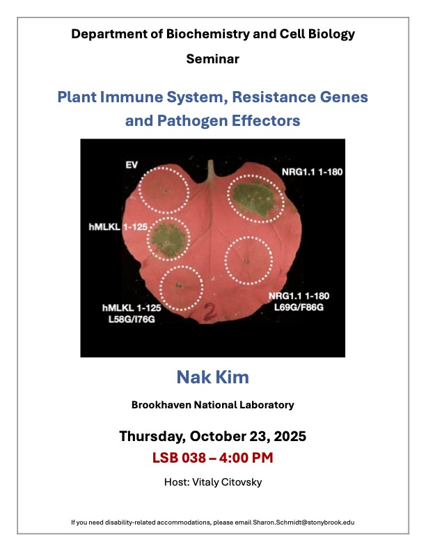 Nak Kim Flyer