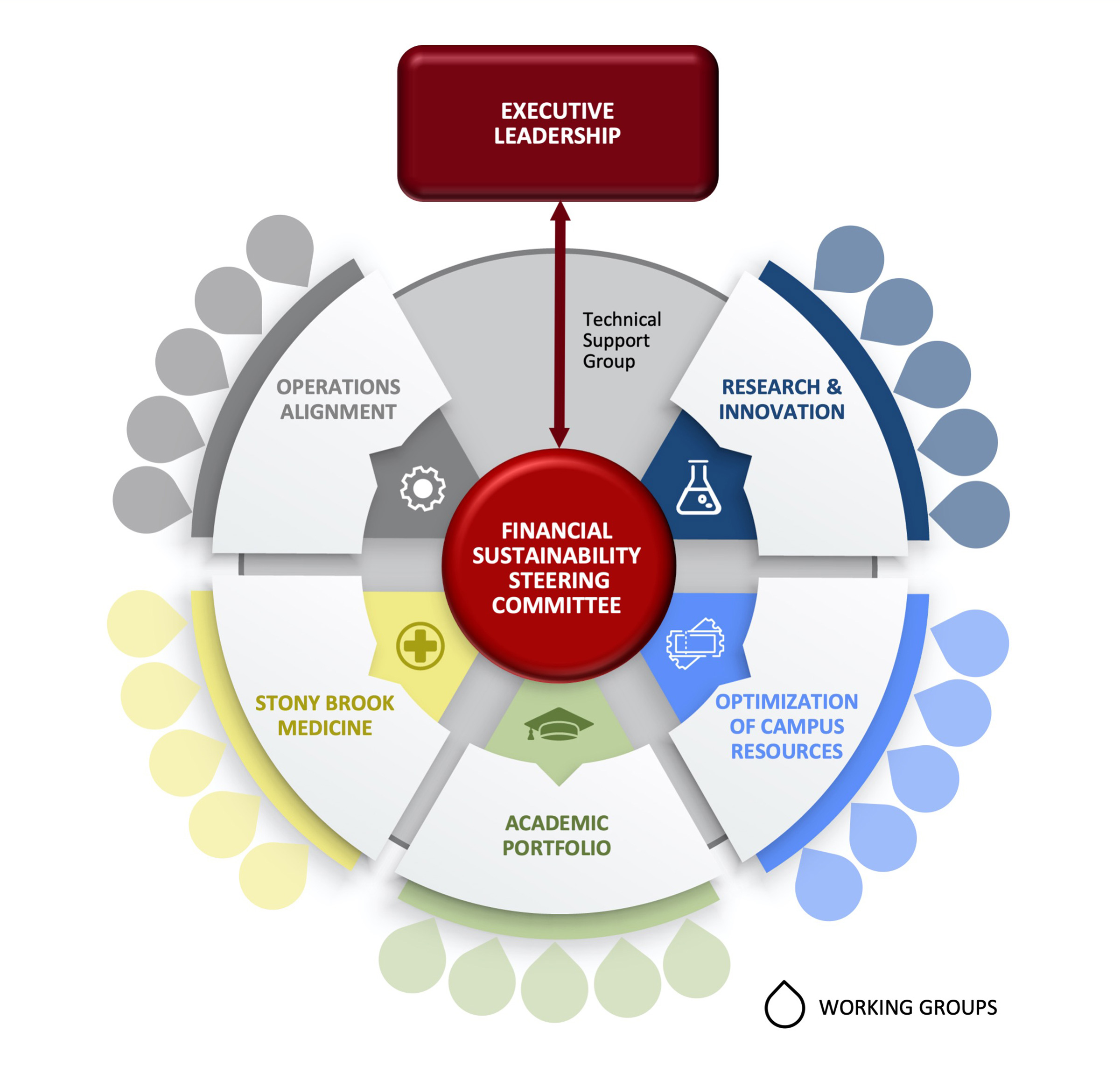 Chart shows financial sustainability steering committe at center with operations alignment, research & innovation, optimization of campus resources, academic portfolio, and stony brook medicine task forces around it. Each task force show support of hypothetical working groups. The steering committee show reporting into executive leadership.