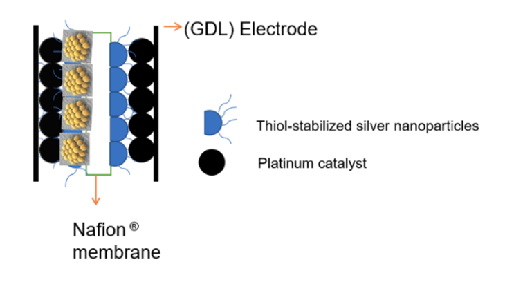 Proton exchange membrane fuel cell diagram