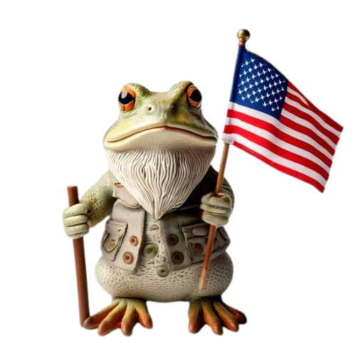 Elderly frog with usa flag