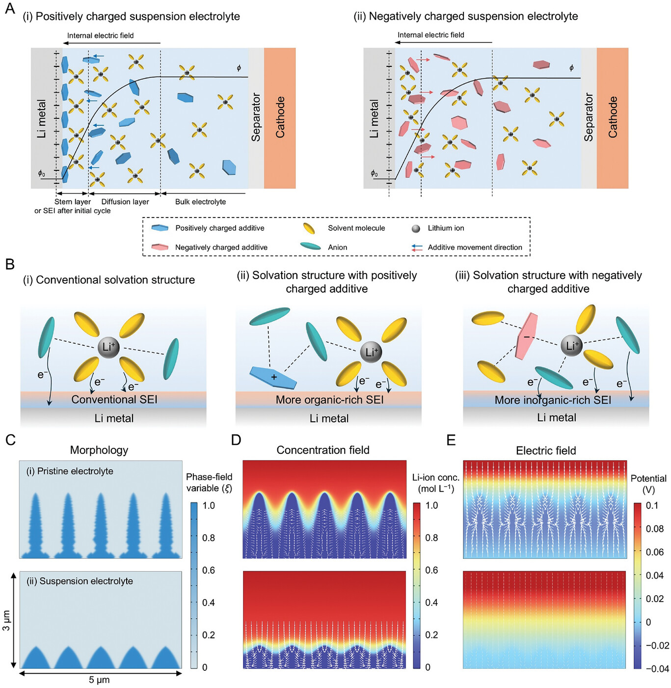 schematic of the solvation structure schematic of the solvation structure