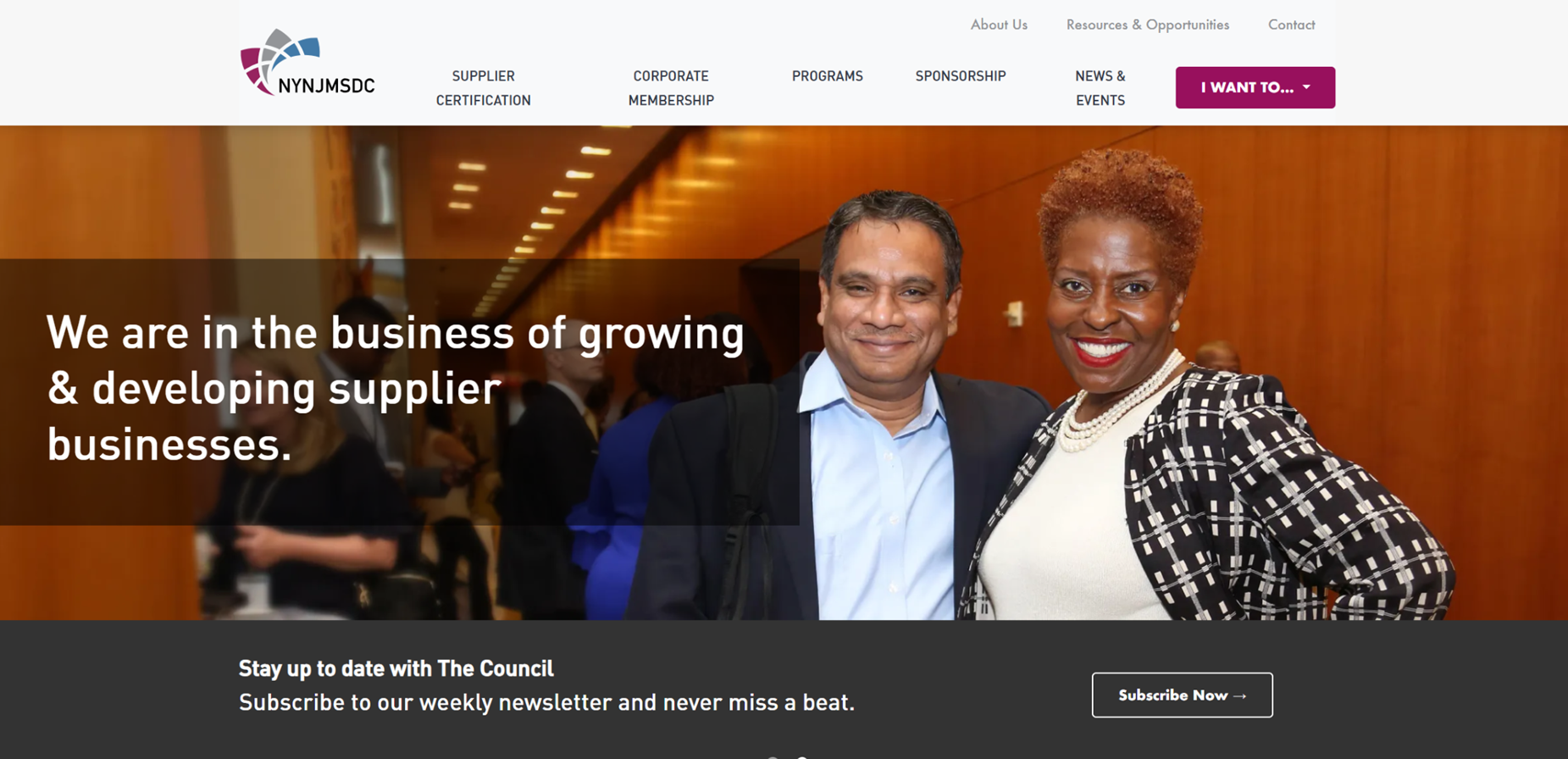 Screenshot of New-York New Jersey Minority Development Supplier Council website homepage.l